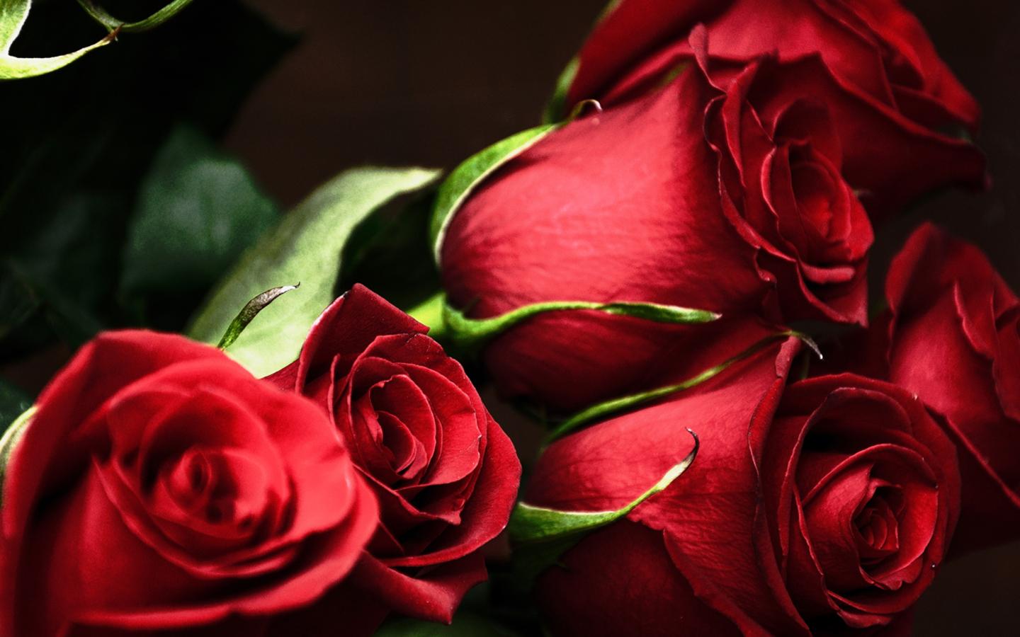 Awesome Roses